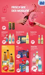 Gazetka promocyjna Getraenke Hoffmann - Prospekte - Gazetka - ważna od 13.09 do 13.09.2025 - strona 3 - produkty: adelholzener, apfel, Bad, Bad Liebenwerda, cola, drink, Elephant Bay, energy drink, fever-tree, grapefruit, Hohes C, Holz, ice tea, lemonade, pepsi, Pepsi Cola, schorle, Schwip Schwap, Sport, tee, Ti, volvic