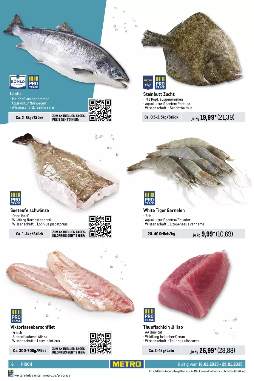 Aktueller Prospekt Metro - GastroJournal - von 16.01 bis 29.01.2025 - strona 6 - produkty: Abtei, angebot, angebote, aqua, beutel, eis, elle, filet, filets, fisch, fische, Fischer, fischstäbchen, frischfisch, garnelen, lachs, lachsfilet, Metro, reis, Ria, ring, rwe, Schal, Schale, Schere, schnitten, thunfisch, Ti, Tintenfischringe, Wild, wolfsbarsch