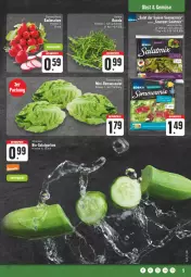 Gazetka promocyjna E Center - Angebote der Woche - Gazetka - ważna od 13.05 do 13.05.2023 - strona 5 - produkty: beutel, bio, gurke, gurken, obst, radieschen, Romanasalat, salat, Salatgurke, salatgurken, tee, Ti