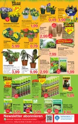 Gazetka promocyjna Jawoll - Prospekte - Gazetka - ważna od 11.02 do 11.02.2023 - strona 8 - produkty: angebot, angebote, auer, Begonie, blume, blumen, blumenerde, drucker, dünger, eis, elle, Engel, erde, fenster, forelle, Garten, Gemüseerde, Grünpflanzen, gutschein, gutscheine, HP, kerze, korb, kräuter, pflanze, pflanzen, rasen, rel, rind, rindenmulch, sac, salz, Schal, Schale, Spezi, Ti, tomate, tomaten, topf, zwiebel