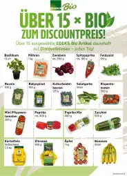 Gazetka promocyjna Edeka - Prospekte - Gazetka - ważna od 26.09 do 26.09.2026 - strona 7 - produkty: auer, Babyspinat, banane, bananen, basilikum, beere, beeren, bio, cola, deka, discount, edeka bio, eis, feldsalat, gurke, kartoffel, kartoffeln, möhren, nivea, paprika, paprika rot, pflaume, pflaumen, reis, rucola, salat, Salatgurke, spinat, Spitzpaprika, Ti, tomate, tomaten, zitrone, zitronen, zucchini, zwiebel, zwiebeln