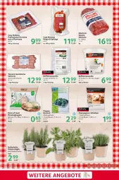 Gazetka promocyjna Selgros - Food - Gazetka - ważna od 30.04 do 30.04.2024 - strona 27 - produkty: angebot, angebote, Becher, beutel, broccoli, brokkoli, Casa Modena, champignon, champignons, di bufala, kräuter, Kugel, Mode, montorsi, mozzarella, pingui, pizza, Pizzateig, rel, salsiccia, sim, tesa, Ti, topf