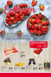 Gazetka promocyjna Selgros - Food - Gazetka - ważna od 30.04 do 30.04.2024 - strona 6 - produkty: avocado, eis, Kraut, kräuter, mais, reis, rhabarber, salat, Ti, Wild, zucker, zuckermais