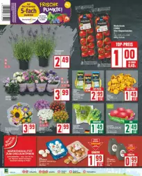 Gazetka promocyjna Edeka - Prospekte - Gazetka - ważna od 13.07 do 13.07.2024 - strona 2 - produkty: discount, eis, LG, reis, Schal, Schale, Ti