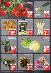 Gazetka promocyjna Edeka - Prospekte - Gazetka - ważna od 08.06 do 08.06.2024 - strona 6 - produkty: eis, eisbergsalat, Lauchzwiebel, lauchzwiebeln, reis, rispentomaten, salat, spargel, Ti, tomate, tomaten, ZTE, zwiebel, zwiebeln