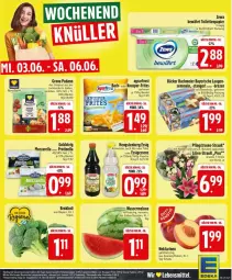 Gazetka promocyjna Edeka - Prospekte - Gazetka - ważna od 06.06 do 06.06.2026 - strona 25 - produkty: agrarfrost, beutel, bio, brezel, brokkoli, eier, eis, essig, flasche, fleisch, gin, goldsteig, grana, grana padano, hengstenberg, Meister, melone, mozzarella, Nektar, nektarinen, padano, Pfingstrosen, Rana, rel, rosen, salz, Schal, Schale, Semmel, Ti, wasser, wassermelone