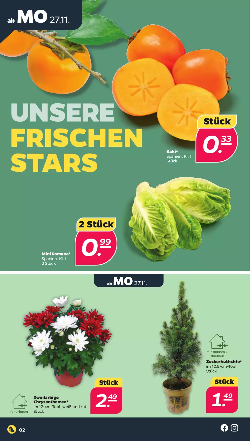 Aktueller Prospekt Netto - Woche 48 - von 27.11 bis 02.12.2023 - strona 2 - produkty: chrysanthemen, Kaki, topf, zucker