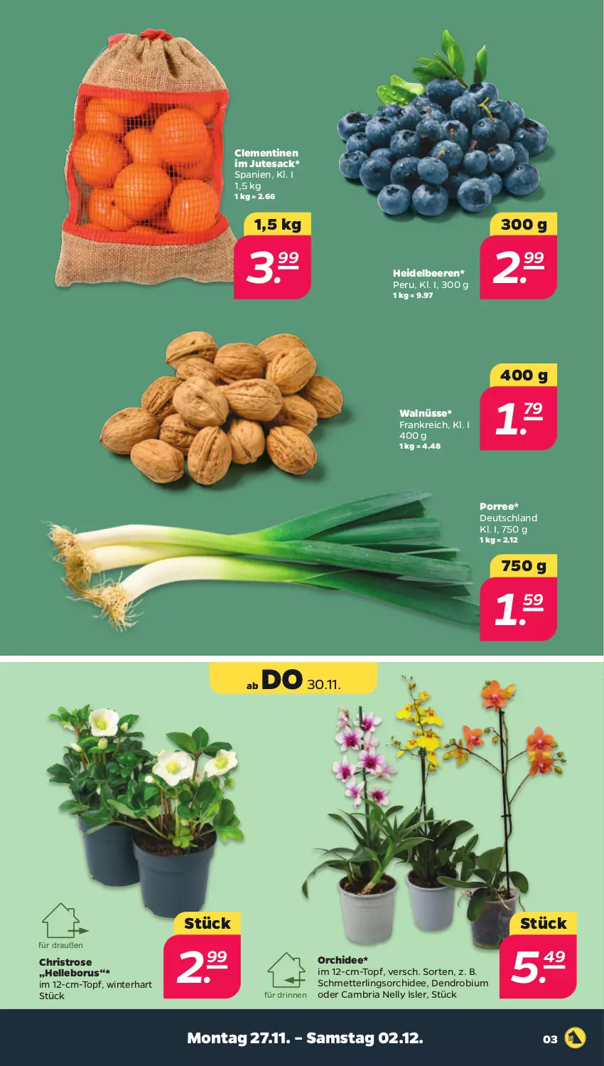 Aktueller Prospekt Netto - Woche 48 - von 27.11 bis 02.12.2023 - strona 3 - produkty: beere, beeren, clementinen, elle, heidelbeere, heidelbeeren, Mett, orchidee, Ria, sac, Schmetterling, schmetterlingsorchidee, tesa, Ti, topf