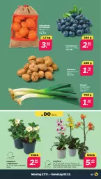 Gazetka promocyjna Netto - Woche 48 - Gazetka - ważna od 02.12 do 02.12.2023 - strona 3 - produkty: beere, beeren, clementinen, elle, heidelbeere, heidelbeeren, Mett, orchidee, Ria, sac, Schmetterling, schmetterlingsorchidee, tesa, Ti, topf