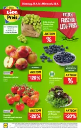 Gazetka promocyjna Lidl - Aktionsprospekt - Gazetka - ważna od 23.04 do 23.04.2022 - strona 2 - produkty: Abtei, aktionspreis, angebot, asti, beere, beeren, bio, cocktail, cocktails, discount, eis, elle, frucht, heidelbeere, heidelbeeren, LG, magazin, obst, Rauch, reis, salat, Schal, Schale, strauchtomaten, Ti, tomate, tomaten, trauben, und gemüse