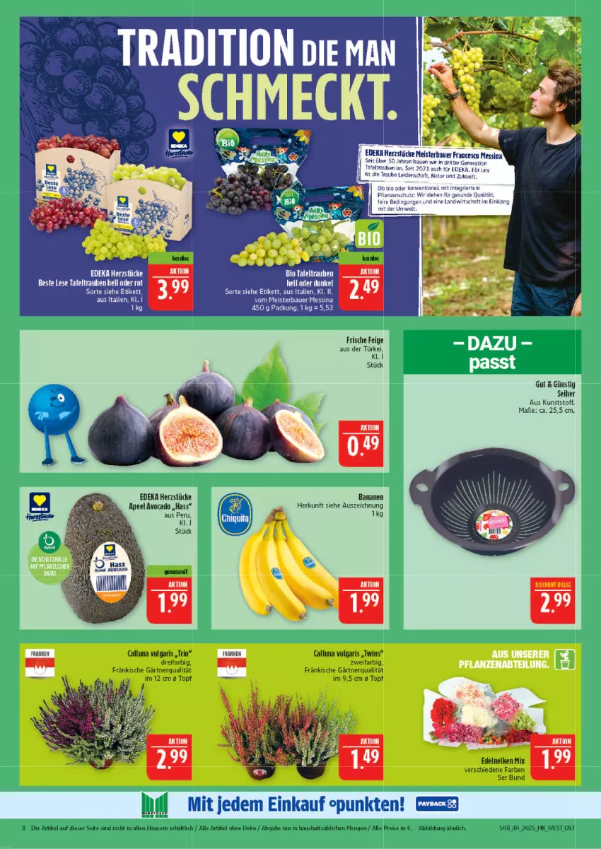 Aktueller Prospekt Marktkauf - Prospekt - von 28.09 bis 04.10.2025 - strona 8 - produkty: auer, avocado, banane, bananen, Bau, Bauer, bier, bio, deka, discount, eis, LG, Meister, natur, pflanze, pflanzen, rama, reis, ritter, tafeltrauben, Ti, topf, trauben
