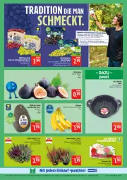 Gazetka promocyjna Marktkauf - Prospekt - Gazetka - ważna od 04.10 do 04.10.2025 - strona 8 - produkty: auer, avocado, banane, bananen, Bau, Bauer, bier, bio, deka, discount, eis, LG, Meister, natur, pflanze, pflanzen, rama, reis, ritter, tafeltrauben, Ti, topf, trauben