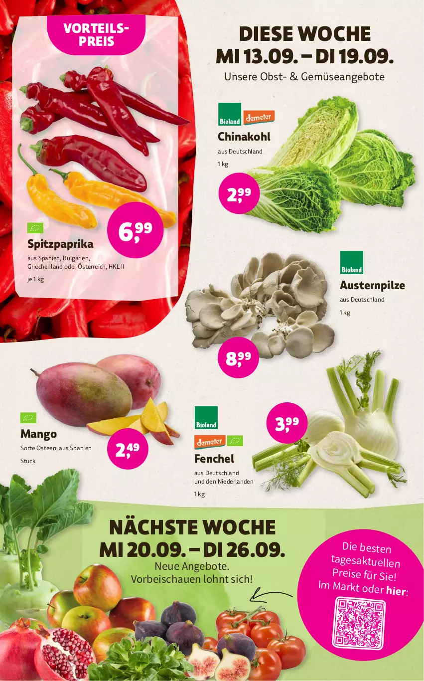 Aktueller Prospekt Denns Biomarkt - Prospekte - von 13.09 bis 26.09.2023 - strona 4 - produkty: angebot, angebote, aust, Austern, eis, elle, fenchel, LG, mango, obst, paprika, pilze, reis, Spitzpaprika, tee, vorteilspreis