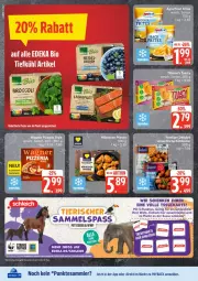Gazetka promocyjna Edeka - Prospekte - Gazetka - ważna od 11.10 do 11.10.2025 - strona 12 - produkty: broccoli