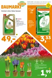 Gazetka promocyjna  - Gazetka - ważna od 09.03 do 09.03.2024 - strona 1 - produkty: balkonpflanzen, beutel, blume, blumen, blumenerde, erde, Garten, Narzissen, pflanze, pflanzen, Ti, topf, trauben, zwiebel