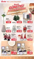 Gazetka promocyjna Famila - Prospekte - Gazetka - ważna od 12.11 do 12.11.2022 - strona 4 - produkty: beleuchtung, creme, eis, elle, flasche, korb, led-beleuchtung, mit led-beleuchtung, Raumduft, reis, teller, Ti, Vase, Weihnachtsstern, ZTE