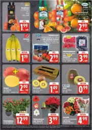 Gazetka promocyjna Edeka - Prospekte - Gazetka - ważna od 09.11 do 09.11.2024 - strona 5 - produkty: acer, banane, bananen, beere, beeren, blume, eis, heidelbeere, heidelbeeren, himbeer, himbeere, himbeeren, kiwi, mandarine, mandarinen, mango, mangos, reis, rosen, tafeläpfel, Ti, topf, Weihnachtsstern, ZTE