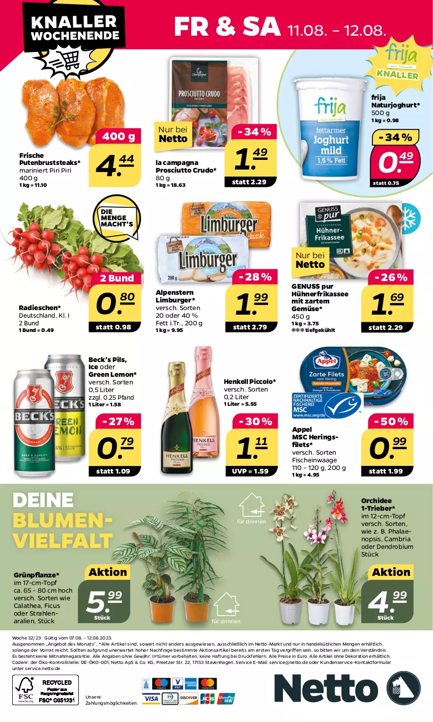 Aktueller Prospekt Netto - Woche 32 - von 07.08 bis 12.08.2023 - strona 28 - produkty: alle artikel ohne dekoration, angebot, blume, blumen, burger, dekoration, eis, elle, Ficus, filet, filets, fisch, fische, henkel, henkell, hering, Herings, heringsfilets, hühner, joghur, joghurt, Limburger, natur, naturjoghurt, nerf, nuss, orchidee, pflanze, phalaenopsis, pils, prosciutto, prosciutto crudo, pute, putenbrust, radieschen, reis, Ria, ring, steak, steaks, Thea, Ti, topf, Waage