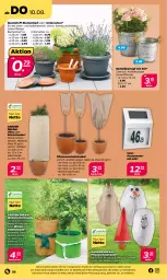 Gazetka promocyjna Netto - Woche 32 - Gazetka - ważna od 12.08 do 12.08.2023 - strona 20 - produkty: auer, blume, blumen, decke, eis, Hausnummer, kokos, pflanze, pflanzen, Ria, Ti, topf, übertopf, Untersetzer, Wichtel, Winterschutz, ZTE