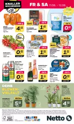 Gazetka promocyjna Netto - Woche 32 - Gazetka - ważna od 12.08 do 12.08.2023 - strona 28 - produkty: alle artikel ohne dekoration, angebot, blume, blumen, burger, dekoration, eis, elle, Ficus, filet, filets, fisch, fische, henkel, henkell, hering, Herings, heringsfilets, hühner, joghur, joghurt, Limburger, natur, naturjoghurt, nerf, nuss, orchidee, pflanze, phalaenopsis, pils, prosciutto, prosciutto crudo, pute, putenbrust, radieschen, reis, Ria, ring, steak, steaks, Thea, Ti, topf, Waage