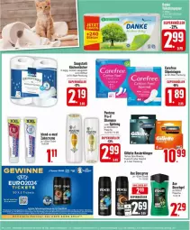 Gazetka promocyjna Edeka - Prospekte - Gazetka - ważna od 04.05 do 04.05.2024 - strona 24 - produkty: axe, blend-a-med, bree, carefree, creme, deka, deo, deospray, dove, duschgel, elle, flasche, fusion5, gillette, küche, Küchen, küchentücher, mac, mach3, pantene, pro-v, Rasierklinge, rasierklingen, shampoo, spülung, Ti, tücher, venus, zahncreme