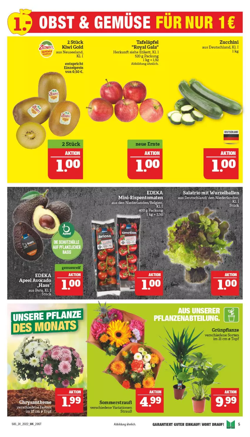 Aktueller Prospekt Marktkauf - Prospekt - von 31.07 bis 06.08.2022 - strona 9 - produkty: avocado, ball, LG, obst, pflanze, pflanzen, salat, Ti