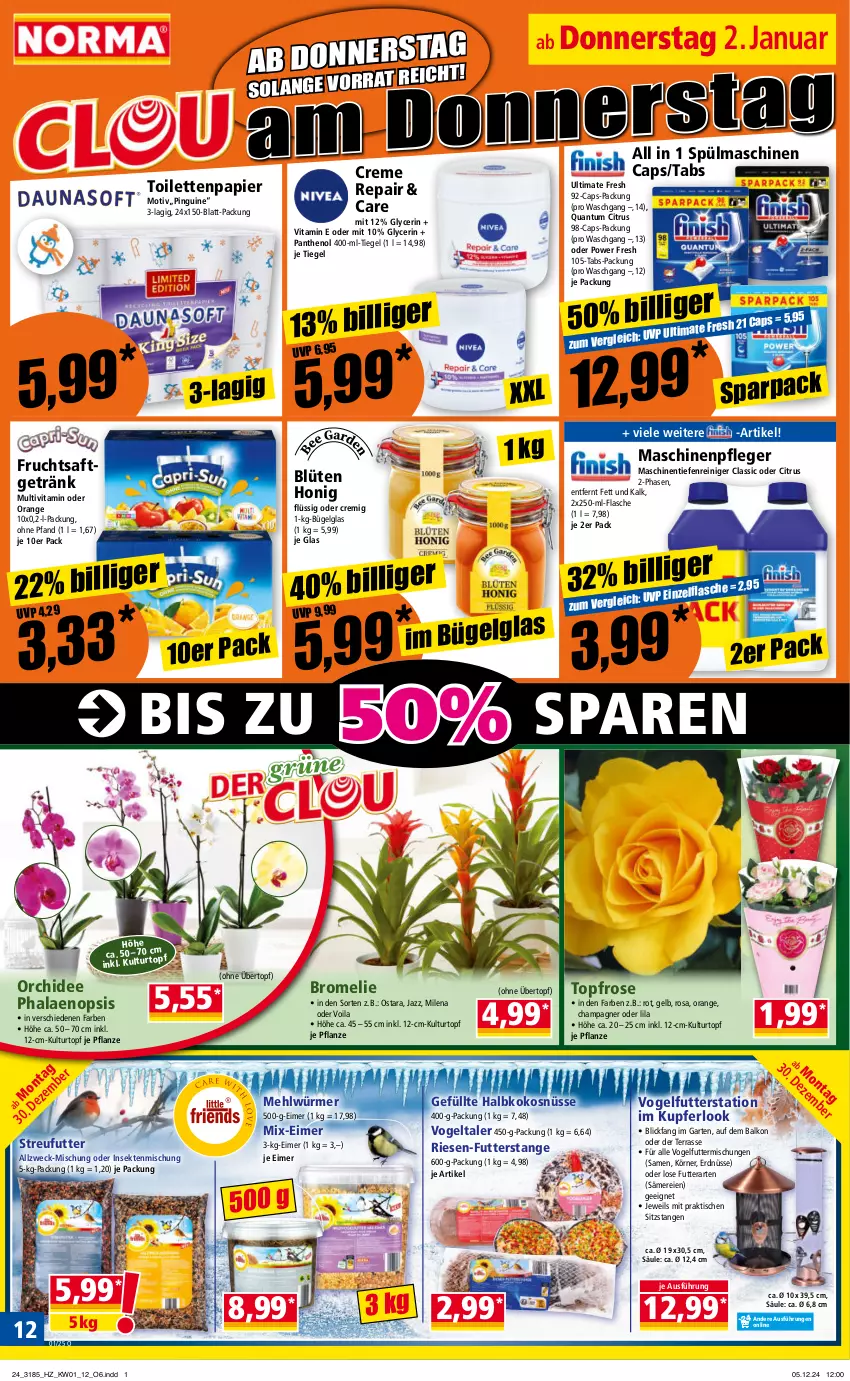 Aktueller Prospekt Norma - Norma - von 30.12.2024 bis 06.01.2025 - strona 11 - produkty: Blüte, Bromelie, bügel, Cap, champagne, champagner, citrus, creme, eimer, erdnüsse, flasche, frucht, fruchtsaft, fruchtsaftgetränk, Garten, getränk, honig, kokos, kulturtopf, LG, Maschinenpfleger, mehl, orange, orchidee, Panthenol, papier, pflanze, phalaenopsis, pingui, reiniger, saft, sekt, spülmaschinen, Streufutter, Ti, tisch, toilettenpapier, topf, übertopf, vita, Vogelfutter, weck