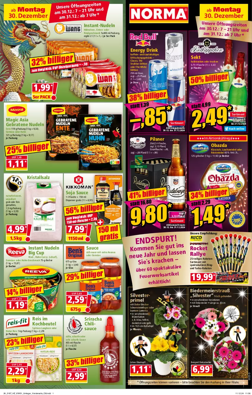 Aktueller Prospekt Norma - Norma - von 30.12.2024 bis 06.01.2025 - strona 14 - produkty: ananas, auer, Becher, beutel, Blüte, braten, chili, curry, drink, eier, eis, energy drink, ente, erfrischungsgetränk, flasche, getränk, Instant-Nudeln, kochbeutel, korn, Kristallsalz, kühlregal, kulturtopf, Lametta, Lauchzwiebel, mac, Mett, natur, natur-reis, nudel, nudeln, obazda, pflanze, pils, pilsner, Raketen, Raketensortiment, regal, reis, Ria, rind, ring, rwe, salz, sauce, Schornsteinfeger, sekt, soja, spitzen-langkorn, Sriracha, Ti, topf, übertopf, uhr, zwiebel