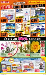 Gazetka promocyjna Norma - Norma - Gazetka - ważna od 06.01 do 06.01.2025 - strona 11 - produkty: Blüte, Bromelie, bügel, Cap, champagne, champagner, citrus, creme, eimer, erdnüsse, flasche, frucht, fruchtsaft, fruchtsaftgetränk, Garten, getränk, honig, kokos, kulturtopf, LG, Maschinenpfleger, mehl, orange, orchidee, Panthenol, papier, pflanze, phalaenopsis, pingui, reiniger, saft, sekt, spülmaschinen, Streufutter, Ti, tisch, toilettenpapier, topf, übertopf, vita, Vogelfutter, weck