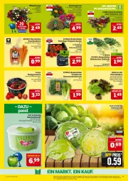 Gazetka promocyjna Marktkauf - Prospekt - Gazetka - ważna od 14.06 do 14.06.2025 - strona 11 - produkty: aktionspreis, auer, ball, Bau, Bauer, calibrachoa, cosmea, deka, eis, eisbergsalat, Garten, honig, Honigtomaten, kohlrabi, löwenmaul, möhren, nuss, Pfingstrosen, reis, ring, rispentomaten, Romanasalat, rosen, rwe, sac, salat, salatherzen, snack, Ti, tomate, tomaten, topf, ZTE
