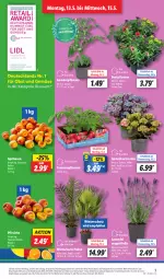 Gazetka promocyjna Lidl - Aktionsprospekt - Gazetka - ważna od 18.05 do 18.05.2024 - strona 3 - produkty: Abtei, angebot, aprikose, aprikosen, beetpflanzen, discount, eis, Garten, hortensie, hortensien, lavendel, obst, Obst und Gemüse, pfirsich, pfirsiche, pflanze, pflanzen, reis, Ti, tomate, tomaten, topf, und gemüse, Winterschutz, ZTE