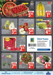 Gazetka promocyjna Edeka - Prospekte - Gazetka - ważna od 22.02 do 22.02.2025 - strona 7 - produkty: angebot, banane, bananen, Birnen, coupon, coupons, deka, eis, Mett, obst, Obst und Gemüse, orchidee, payback, reis, rel, Schmetterling, schmetterlingsorchidee, tafelbirnen, tafeltrauben, Ti, topf, trauben, und gemüse, Wella, ZTE