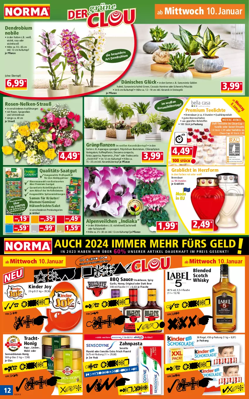 Aktueller Prospekt Norma - Norma - von 08.01 bis 15.01.2023 - strona 12 - produkty: Alpenveilchen, auer, blended scotch, blended scotch whisky, blume, blumen, Blüte, eier, eis, flasche, früchte, gin, Grünpflanzen, Hobby, honig, hülsenfrüchte, kaffee, Kinder, Kraut, kräuter, kulturtopf, lachs, pasta, pflanze, pflanzen, reis, Ria, riegel, rosen, salat, sauce, scotch, scotch whisky, senf, sonnenblume, sonnenblumen, steak, tee, Teelicht, teelichte, Ti, topf, übertopf, vanille, whisky, zahnpasta