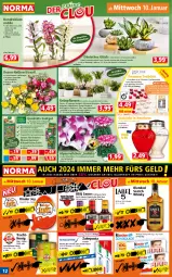 Gazetka promocyjna Norma - Norma - Gazetka - ważna od 15.01 do 15.01.2023 - strona 12 - produkty: Alpenveilchen, auer, blended scotch, blended scotch whisky, blume, blumen, Blüte, eier, eis, flasche, früchte, gin, Grünpflanzen, Hobby, honig, hülsenfrüchte, kaffee, Kinder, Kraut, kräuter, kulturtopf, lachs, pasta, pflanze, pflanzen, reis, Ria, riegel, rosen, salat, sauce, scotch, scotch whisky, senf, sonnenblume, sonnenblumen, steak, tee, Teelicht, teelichte, Ti, topf, übertopf, vanille, whisky, zahnpasta