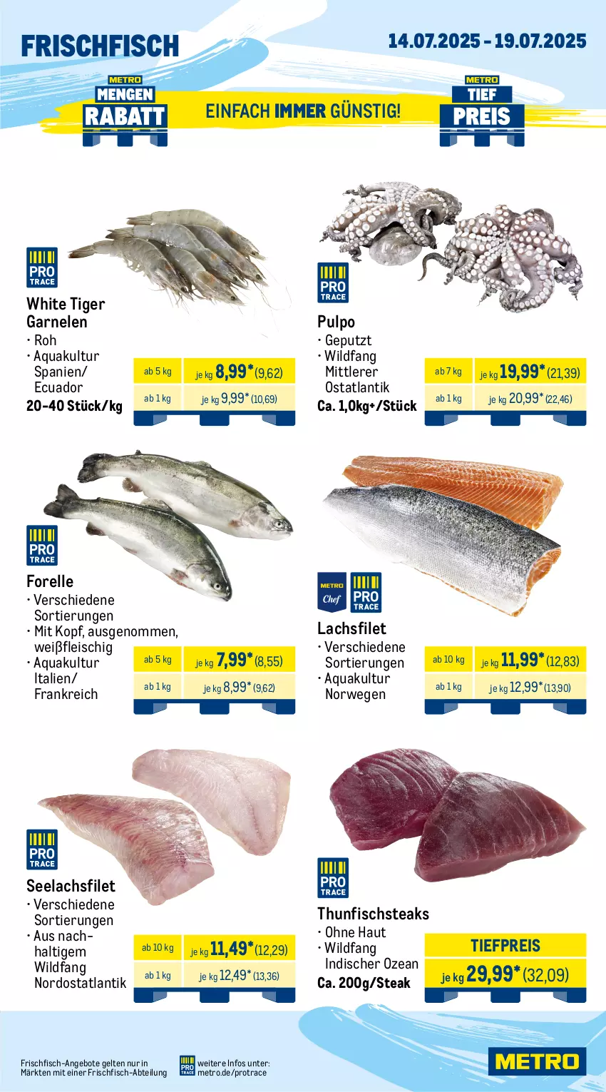 Aktueller Prospekt Metro - Wochen-Angebote - von 14.07 bis 19.07.2025 - strona 5 - produkty: Abtei, angebot, angebote, aqua, eis, elle, filet, fisch, fleisch, forelle, frischfisch, garnelen, lachs, lachsfilet, Metro, reis, rel, rwe, schwein, schweine, schweinefilet, schweinenacken, schweinerücken, seelachsfilet, steak, steaks, thunfisch, Ti, tiefpreis, wein, weine, Wild