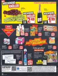 Gazetka promocyjna Edeka - Angebote der Woche - Gazetka - ważna od 25.06 do 25.06.2022 - strona 16 - produkty: angebot, angebote, brita, deka, discount, eis, elle, erde, erdnuss, flasche, getränk, gsw, Kinder, LG, Liege, mais, milch, mint, natur, nuss, pizza, Pizzateig, reis, rel, rwe, sauce, Schnelltest, telefon, Ti, tomate, tomaten, uhr, wasser, Yo, ZTE, zucker