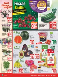 Gazetka promocyjna Edeka - Angebote der Woche - Gazetka - ważna od 25.06 do 25.06.2022 - strona 6 - produkty: avocado, avocados, banane, bananen, bio, Blüte, buch, coupon, deka, deutschlandcard, eimer, eis, Erdbeerpflanze, gurke, gurken, gutschein, himbeer, HP, kartoffel, kartoffeln, kirsch, kirsche, kirschen, mac, melone, melonen, Mett, minze, monte, nuss, orchidee, orchideen, Pfingstrosen, pflanze, pflanzen, pflaume, pflaumen, reis, rosen, salat, Salatgurke, salatgurken, Schal, Schale, Schmetterling, schoko, speisekartoffeln, stauden, tafeläpfel, Tchibo, tee, Ti, tomate, tomaten, topf, wasser, wassermelone, wassermelonen, ZTE