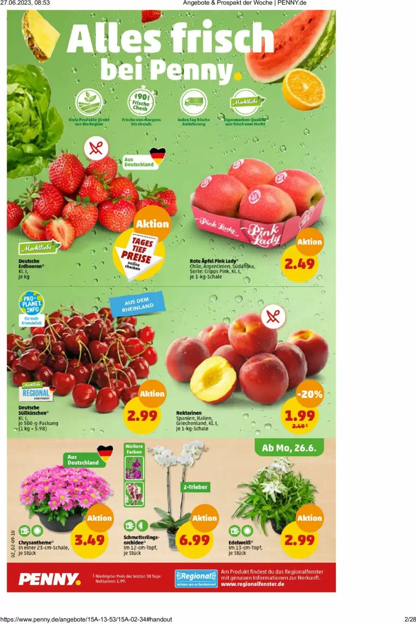 Aktueller Prospekt Penny - Prospekte - von 26.06 bis 01.07.2023 - strona 2 - produkty: angebot, angebote, beere, beeren, deit, erdbeere, erdbeeren, Nektar, nektarinen, Schal, Schale, topf