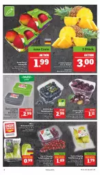 Gazetka promocyjna Marktkauf - Prospekt - Gazetka - ważna od 27.08 do 27.08.2022 - strona 10 - produkty: ananas, bio, Birnen, buch, deka, edeka bio, eis, regal, reis, salat, Schal, Schale, tafeläpfel, tafelbirnen, tafeltrauben, Ti, trauben