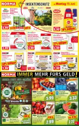 Gazetka promocyjna Norma - Norma - Gazetka - ważna od 26.06 do 26.06.2023 - strona 9 - produkty: beere, beeren, bio, biozidprodukte, cola, eis, ente, erde, flasche, fleisch, frucht, früchte, fruchtfleisch, Garten, heidelbeere, heidelbeeren, insektenschutz, lebensmittel, LG, Liege, mac, melone, Mottenfalle, Nektar, nektarinen, obst, Obst und Gemüse, pflaume, pflaumen, Rauch, reis, ring, rispentomaten, rucola, rwe, saft, salat, sekt, spinat, Ti, tiefpreis, tisch, tomate, tomaten, und gemüse, wasser, wassermelone