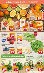 Gazetka promocyjna Rewe - REWE Ihr Kaufpark - Gazetka - ważna od 05.02 do 05.02.2022 - strona 2 - produkty: aktionspreis, beere, beeren, Blaubeer, blaubeere, blume, blumen, Cif, eis, elle, fleisch, kopfsalat, korb, lamm, LG, mandarine, mandarinen, orange, orangen, pflanze, pflanzen, Pomelo, reis, rote tafeläpfel, salat, Schal, Schale, spargel, stauden, tafeläpfel, Ti, topf