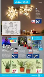 Gazetka promocyjna Aldi Nord - Von Montag - Gazetka - ważna od 04.11 do 04.11.2023 - strona 15 - produkty: batterie, batterien, Blüte, Brei, dekoration, dell, elle, fernbedienung, gin, Kette, kulturtopf, lack, Lacke, leds, lichterkette, Mode, pflanze, Ria, tee, Teelicht, teelichte, Ti, timer, topf, ZTE