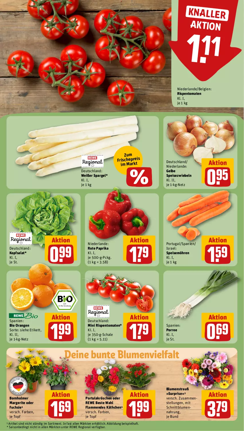 Aktueller Prospekt Rewe - Prospekte - von 27.05 bis 01.06.2024 - strona 7 - produkty: bio, blume, blumen, Blumenstrauß, eis, kopfsalat, lamm, LG, möhren, orange, orangen, paprika, reis, rewe beste wahl, rispentomaten, salat, Schal, Schale, spargel, speisemöhren, Speisezwiebeln, Ti, tomate, tomaten, topf, zwiebel, zwiebeln