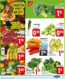 Gazetka promocyjna Edeka - Prospekte - Gazetka - ważna od 24.01 do 24.01.2026 - strona 4 - produkty: beutel, blattspinat, cola, Lauchzwiebel, lauchzwiebeln, paprika, petersilie, rosen, Rosenkohl, rucola, salat, spinat, Spitzpaprika, zwiebel, zwiebeln