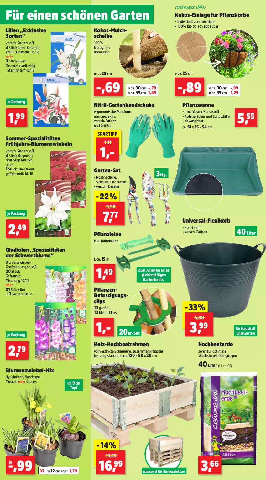 Aktueller Prospekt Thomas Philipps - von 10.02 bis 15.02.2025 - strona 2 - produkty: Abba, Bau, Begonie, bio, blume, blumen, erde, Garten, Gladiolen, handschuhe, Holz, kokos, korb, leine, LG, Narzissen, Palette, pflanze, pflanzen, rosen, Schere, schuhe, spartipp, Spezi, Ti, topf, Wanne, zwiebel, zwiebeln