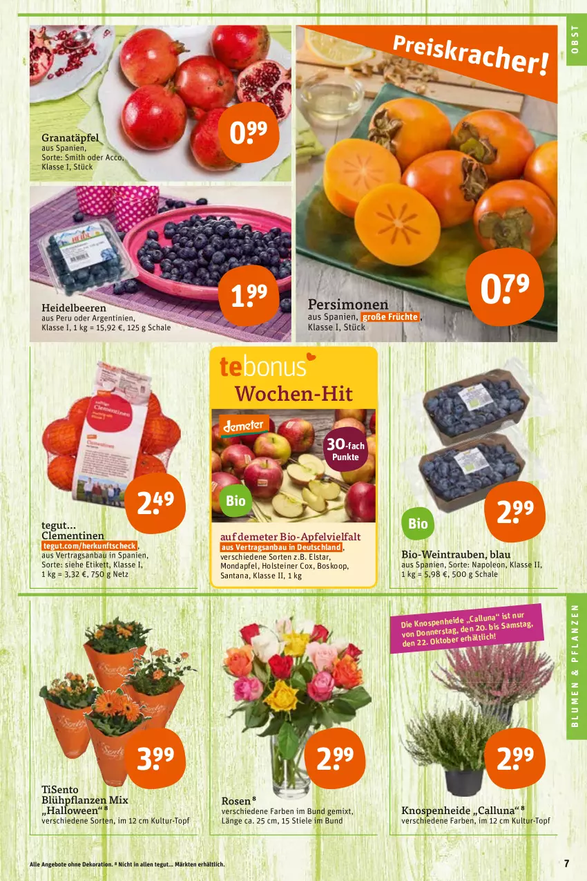 Aktueller Prospekt Tegut - Angebote der Woche - von 17.10 bis 22.10.2022 - strona 9 - produkty: ACC, angebot, angebote, apfel, Bau, beere, beeren, bio, Bio-Wein, blume, blumen, clementinen, dekoration, Elvie, früchte, grana, Granatäpfel, heidelbeere, heidelbeeren, holsteiner, HP, obst, pflanze, pflanzen, Rana, rosen, Schal, Schale, sim, steiner, Ti, topf, trauben, wein