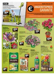 Gazetka promocyjna Vmarkt - V-Baumarkt - Gazetka - ważna od 11.05 do 11.05.2022 - strona 2 - produkty: akku, angebot, angebotspreis, Bau, bio, blume, blumen, blumenerde, Blüte, Brei, calibrachoa, compo sana, dünger, eis, elle, erde, flüssigdünger, frucht, Garten, Gemüseerde, kraft, ladegerät, Passiflora, pflanze, pflanzen, rasen, rasentrimmer, reis, sana, Spezi, teller, Ti, Tiere, tisch, tomate, tomaten, topf, übertopf, und gemüse, WICK, zauberglöckchen