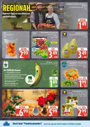 Gazetka promocyjna Edeka - Prospekte - Gazetka - ważna od 08.11 do 08.11.2025 - strona 6 - produkty: banane, bananen, Bau, bio, deka, dünger, edeka bio, eier, ente, mac, pflanze, pflanzen, salat, salate, Schal, Schale, tafeläpfel, Ti, topf, Weihnachtsstern