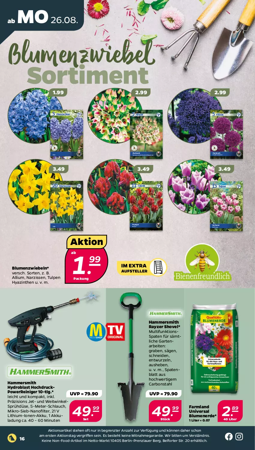 Aktueller Prospekt Netto - Woche 35 - von 26.08 bis 31.08.2024 - strona 16 - produkty: akku, auer, blume, blumen, blumenerde, eis, erde, Garten, LG, Narzissen, reiniger, reis, säge, schlauch, Spaten, Ti, ZTE, zwiebel, zwiebeln