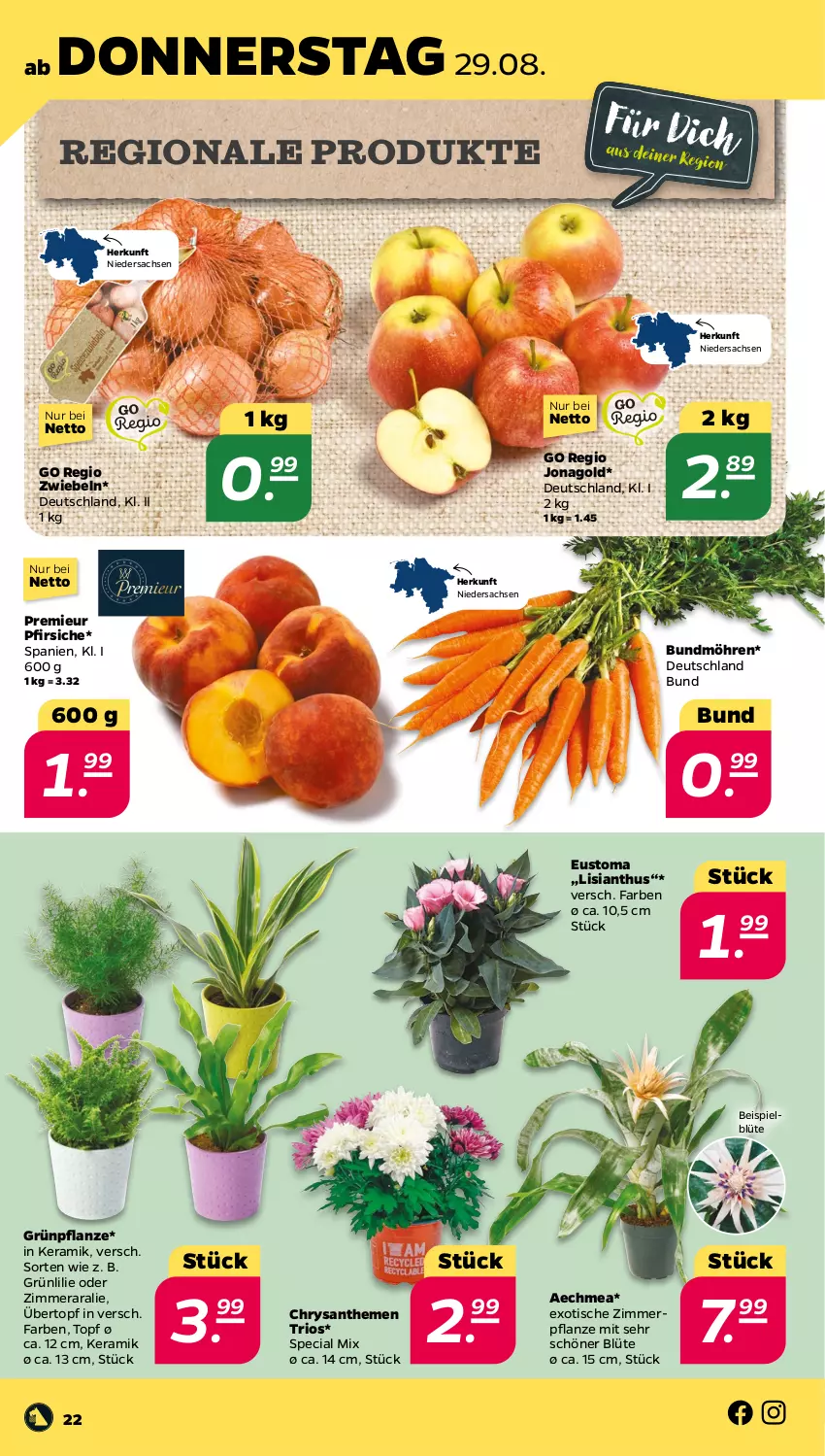 Aktueller Prospekt Netto - Woche 35 - von 26.08 bis 31.08.2024 - strona 22 - produkty: Blüte, Bundmöhren, chrysanthemen, eis, möhren, pfirsich, pfirsiche, pflanze, sac, Ti, tisch, topf, übertopf, zwiebel, zwiebeln